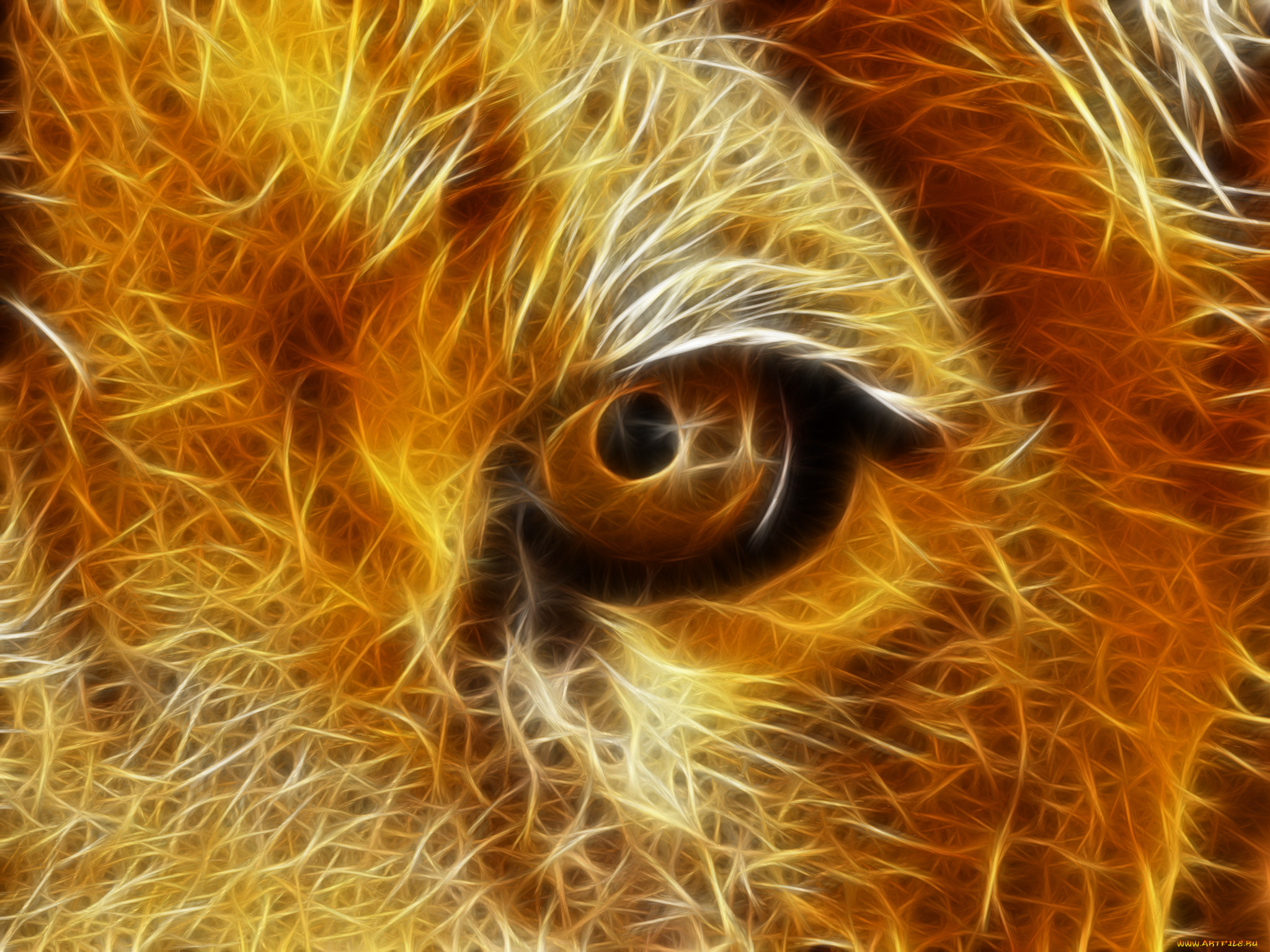 3, , animals, , 